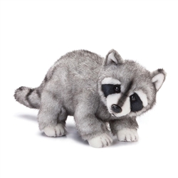 racoon plush toy